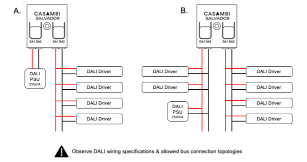Wiring diagram of a Casambi Salvador DALI gateway connected to DALI drivers and a DALI power supply in two bus layouts, A and B, with a note to observe DALI wiring specifications and allowed bus connection topologies
