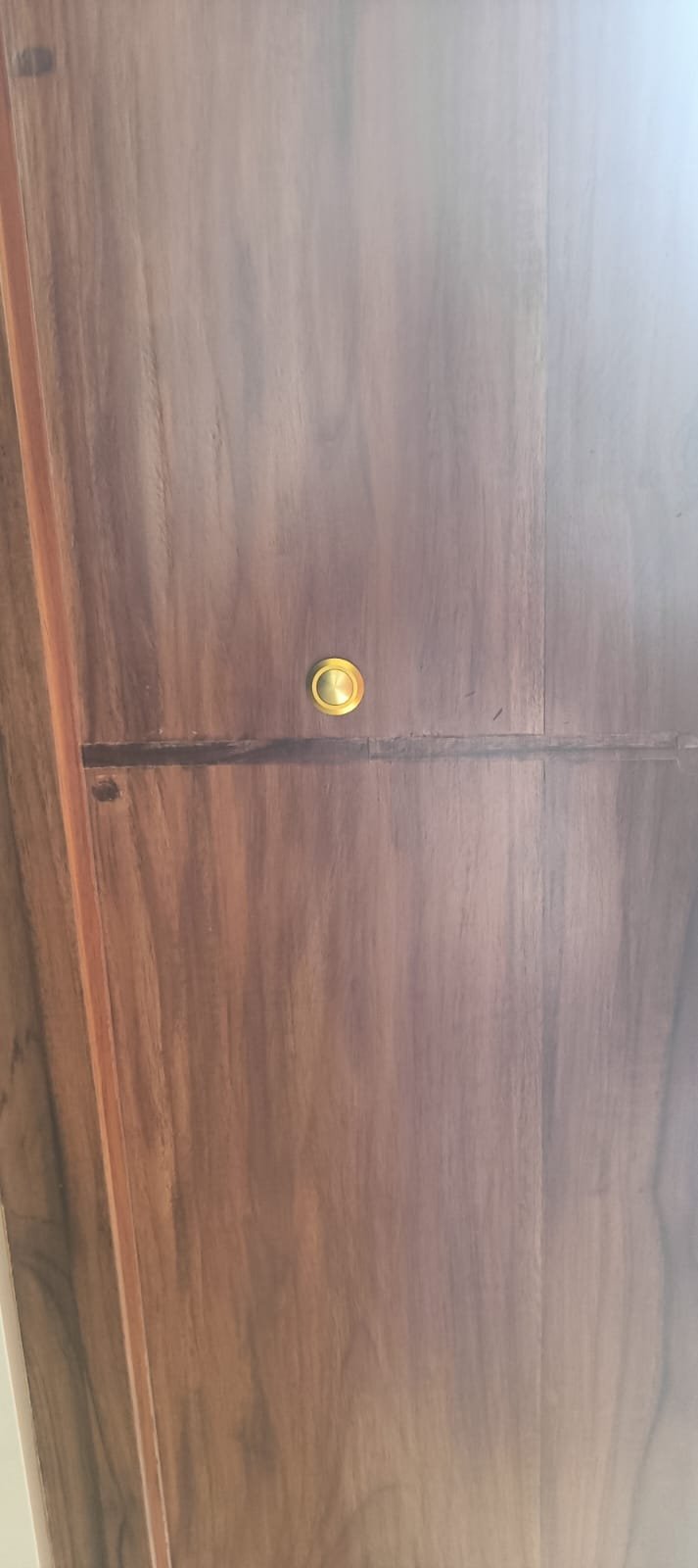 Close-up of the door with a small brass fitting