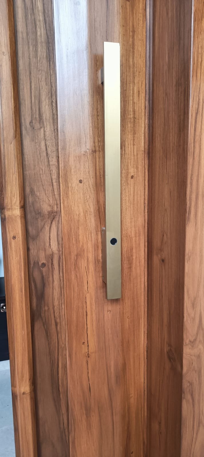 Wooden door with a long brass handle; the small dark circle on the handle is the fingerprint sensor